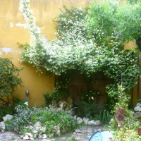 il giardino di M.Angela M. a Ravenna centro